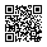 “95商服网移动站”