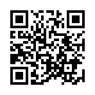 “95商服网移动站”