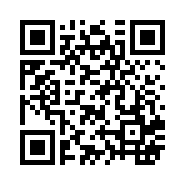 “95商服网移动站”