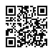 “95商服网移动站”