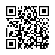 ”95商服网移动站“