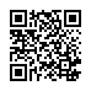 “95商服网移动站”