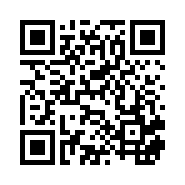 “95商服网移动站”