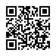 “95商服网移动站”