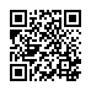 “95商服网移动站”