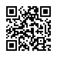 “95商服网移动站”