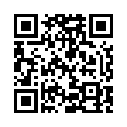 “95商服网移动站”