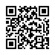 “95商服网移动站”