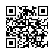 ”95商服网移动站“