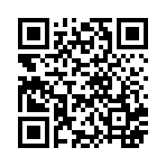 “95商服网移动站”