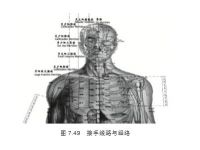 邱博士谈武学：武文化与中华民族的兴衰武术接手过程中距离和时间的计算