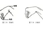 邱博士谈武学：中国武术手型详解——勾