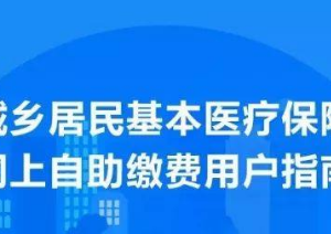 北京城乡居民医保可以网上缴费啦！自助缴费网上入口及用户操作指南