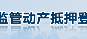 动产抵押登记变更申请书（最新模板）-