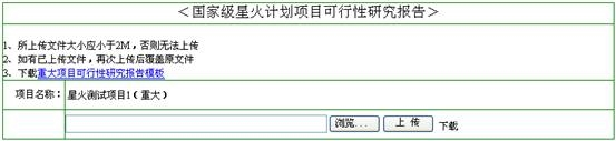 重大项目可行性研究报告