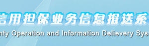 2018年中小企业信用担保业务信息报送系统填报操作说明 （最新）