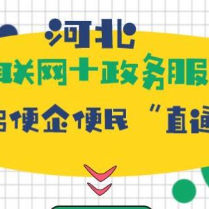 河北省推进“互联网+政务服务” 建设，实现企业群众办事“只进一扇门”“最多跑一次”