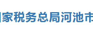 大化瑶族自治县税务局办税服务厅办公时间地址及纳税服务电话