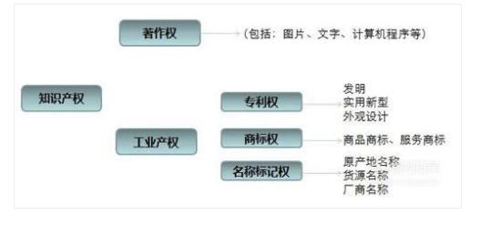 知识产权分类