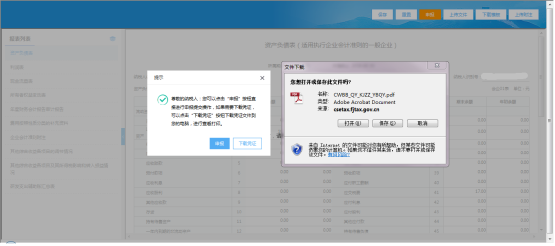 下载或者查看PDF格式申报表
