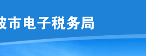 宁波市电子税务局中国居民（国民）相互协商程序申请流程说明