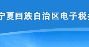 宁夏电子税务局电子税务局智慧财务报表报送操作说明