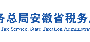 安徽省税务局增值税专用发票（增值税税控系统）最高开票限额审批（百万元及以上）