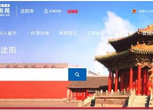 沈阳市政务服务网网上办事大厅功能及操作说明