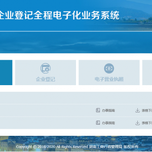 湖南省企业登记全程电子化业务系统企业设立登记（内网）操作说明