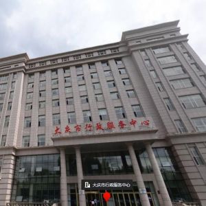 大庆市政务服务中心办事大厅窗口预约咨询电话