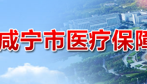 咸宁市医疗保障局各部门工作时间及联系电话