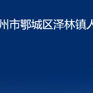 鄂州市鄂城区泽林镇人民政府各部门联系电话及地址