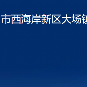 青岛市西海岸新区大场镇各部门办公时间及联系电话