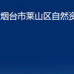 烟台市莱山区自然资源局各部门对外联系电话