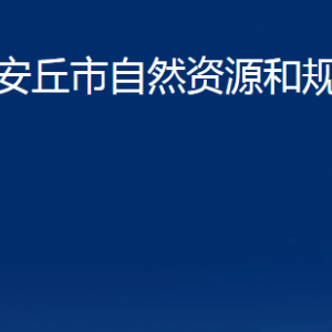 安丘市自然资源和规划局各部门职责及联系电话