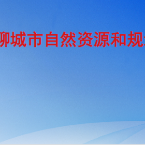 聊城市自然资源和规划局各部门工作时间及联系电话