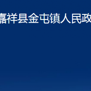 嘉祥县金屯镇政府为民服务中心对外联系电话及地址