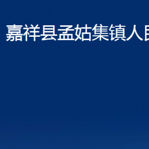 嘉祥县孟姑集镇政府为民服务中心对外联系电话及地址