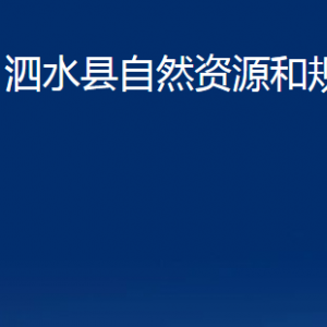 泗水县自然资源和规划局各部门职责及联系电话