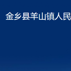 金乡县羊山镇政府为民服务中心对外联系电话及地址