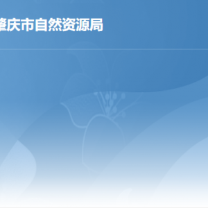 肇庆市自然资源局各部门负责人及政务服务咨询电话