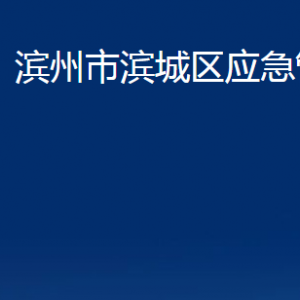 滨州市滨城区应急管理局各部门职责及对外联系电话