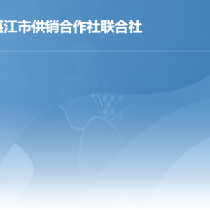 湛江市供销合作社联合社各部门负责人及联系电话