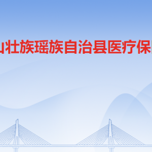 连山县卫生健康局大楼​医疗保障局1楼办事大厅咨询电话