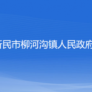 新民市柳河沟镇政府各职能部门负责人和联系电话