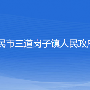 新民市三道岗子镇政府各职能部门办公地址及联系电话