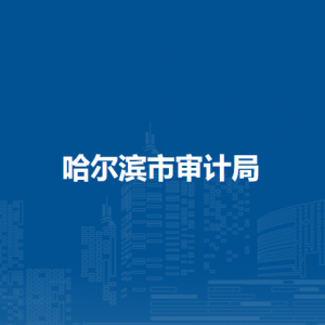 哈尔滨市审计局各部门负责人和联系电话