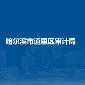 哈尔滨市道里区审计局各部门职责及联系电话