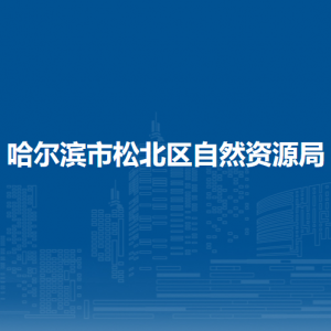 哈尔滨市松北区自然资源局各部门职责及联系电话