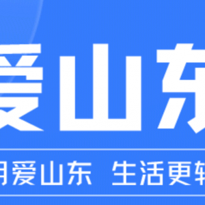 山东省生育登记服务网上办理指南